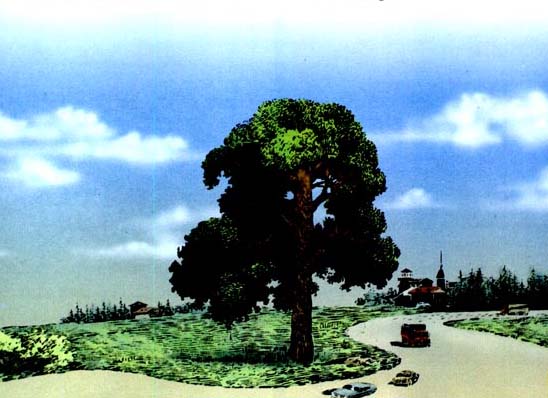 人教版第六册《路旁的橡树》