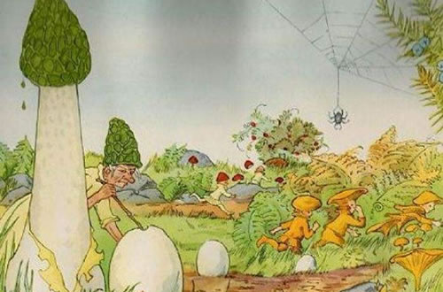 儿童故事绘本《蘑菇为什么不往上长？》