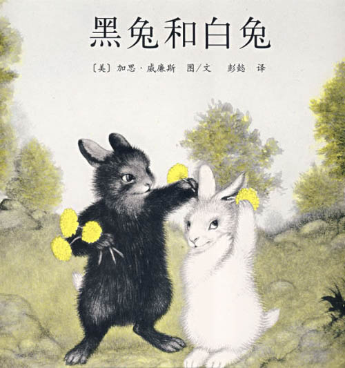 《黑兔和白兔》