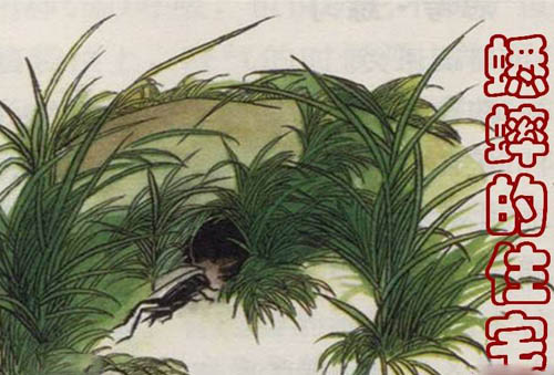 人教版第七册《蟋蟀的住宅》