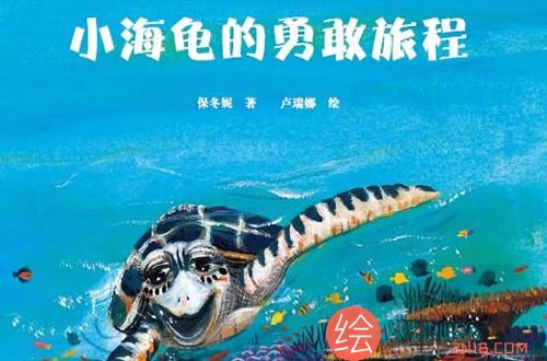 《小海龟的勇敢旅程》