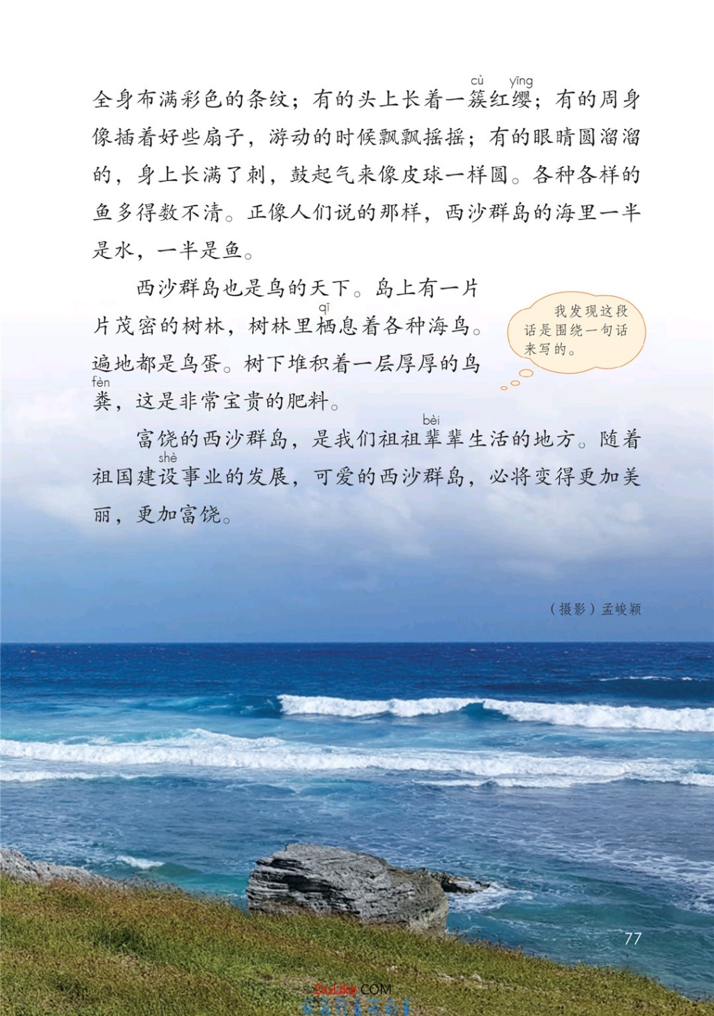 三年级语文上册-18 富饶的西沙群岛(P76-P78)
