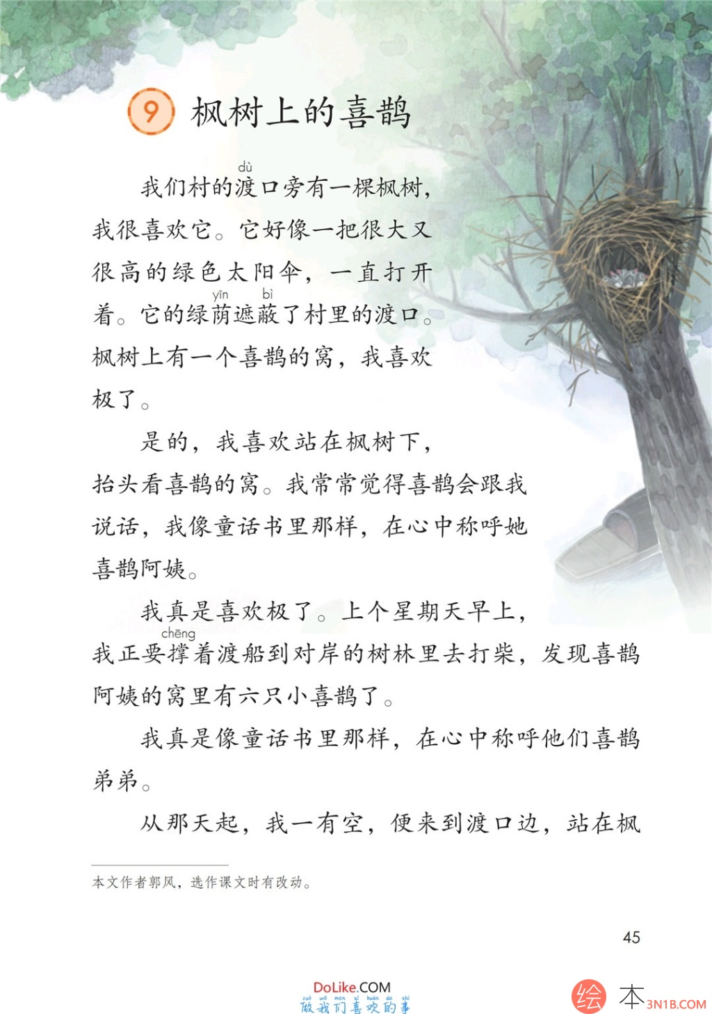 喜鹊的资料二年级图片