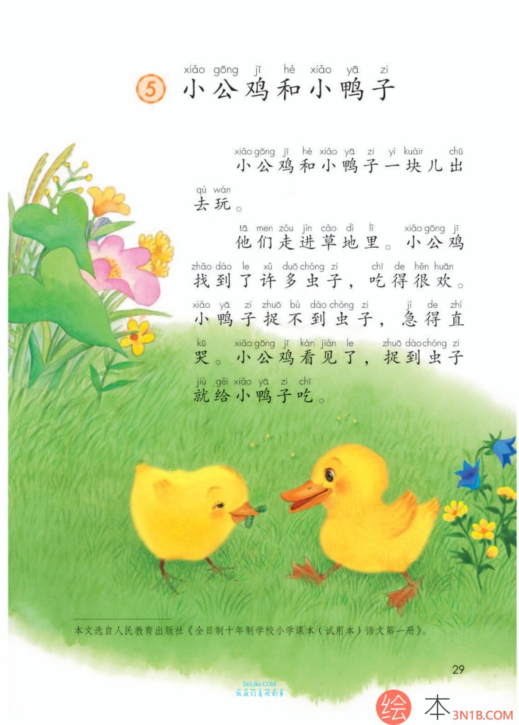 一年级语文下册-课文5:小公鸡和小鸭子(P29-P31)